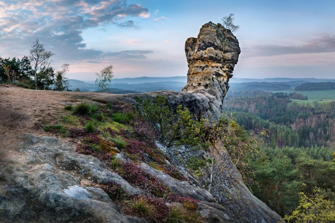 Leśni Chalupa Hlucov Kokorin Bagian luar foto